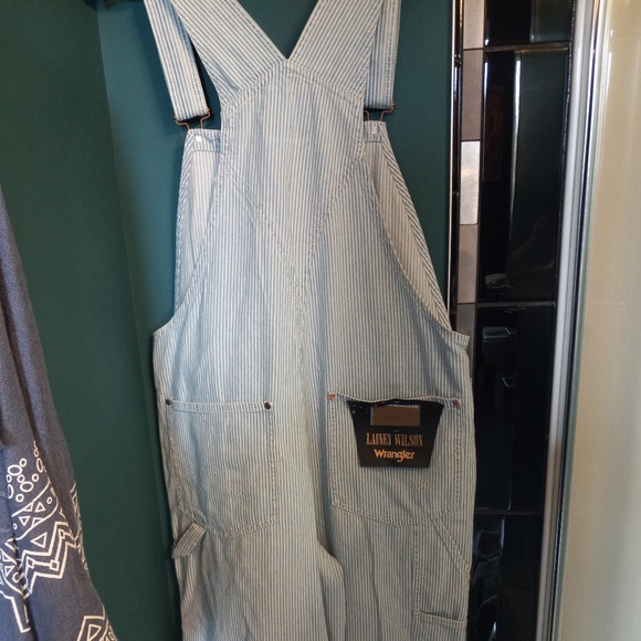 Wrangler-Lainey Wilson Striped Overalls- Women's SZ L NWT - Picture 3 of 11